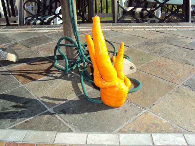 Carrot with broken hyperdrive motivator.