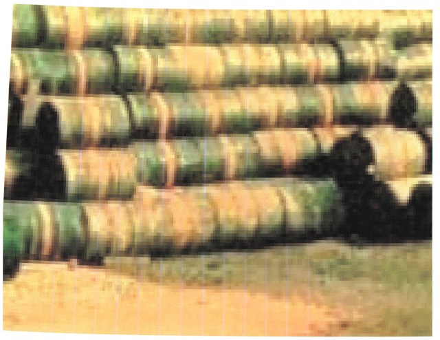 Bien Hoa "tactical herbicide" storage area