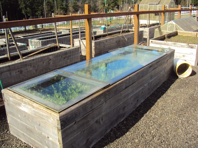 temporarily out of order due to weather