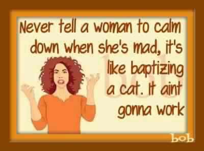 529645_10151654385010337_1070662928_n