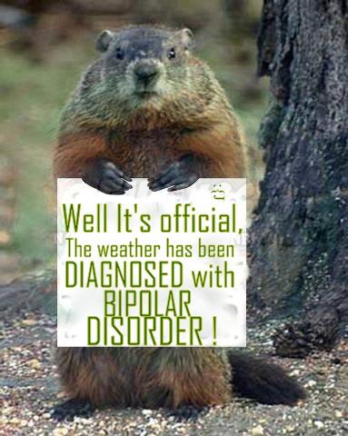 389139_569843619714590_686360221_n