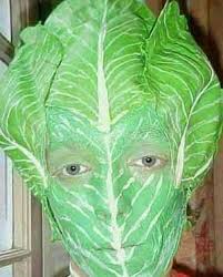  One on one with your lettuce