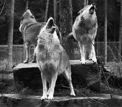 My relatives celebrating Dad's graduation from Medical school.