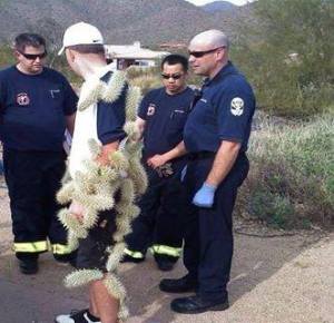 1380689_10151802199807740_1817966494_n