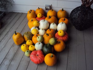 Squarebob Pumpkinpants 001