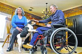 VET_D_20100412103449