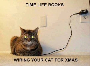 WIRING YOUR CAT