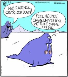 561280_336366486485745_1709573710_n