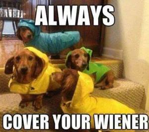 1981790_818736681474264_1728488752_n