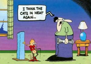 10177352_10152387000580700_5515564734015095907_n