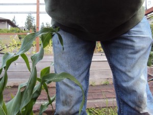 2014-06-29 14.09.42kneehigh selfie