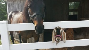 Head fertilizer technician Kona and his sidekick Wally