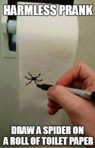 And then carefully roll the tp back up several turns where it is still visible.