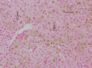 3375662_yjbm_85_2_249_g03