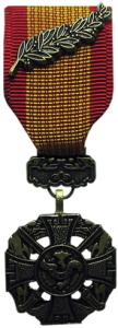 RepublicanVietnamGallantryCrossMedalwithPalmFNL