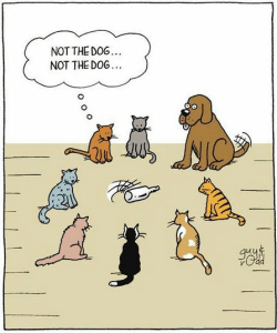 311101_560627413966716_856031618_n