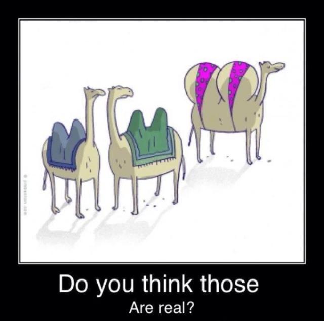 61405_567545916608199_1281868407_n