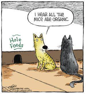 10846242_10205168705874336_2478796377531793373_n