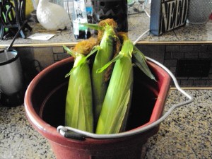 2015 Silver Queen (2)