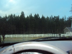 Traveling at Mach 2.3 in Park