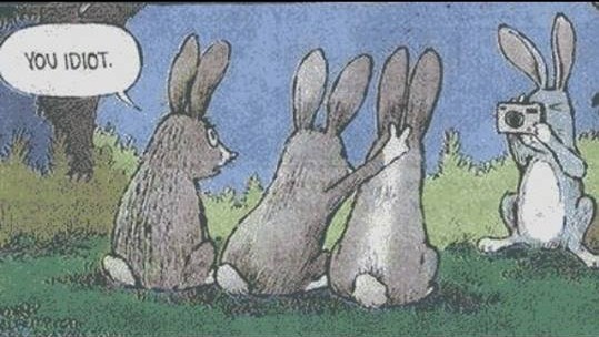 10391856_10153869925155700_4183631506274313006_n