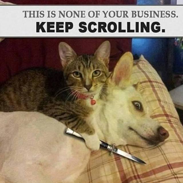 12670761_10153980423810535_6099272870029934320_n